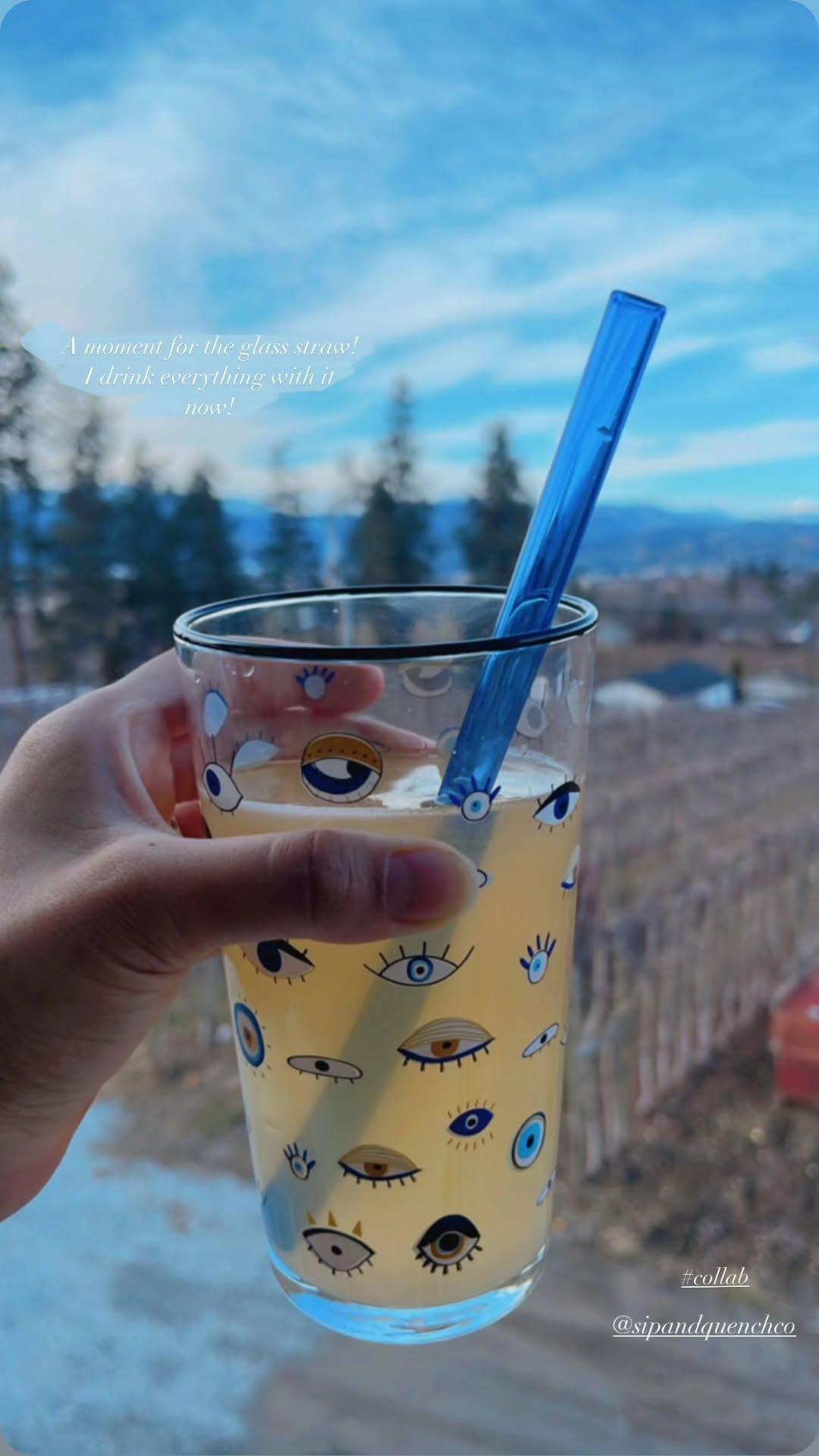 On-the-go Glass straw with Portable case